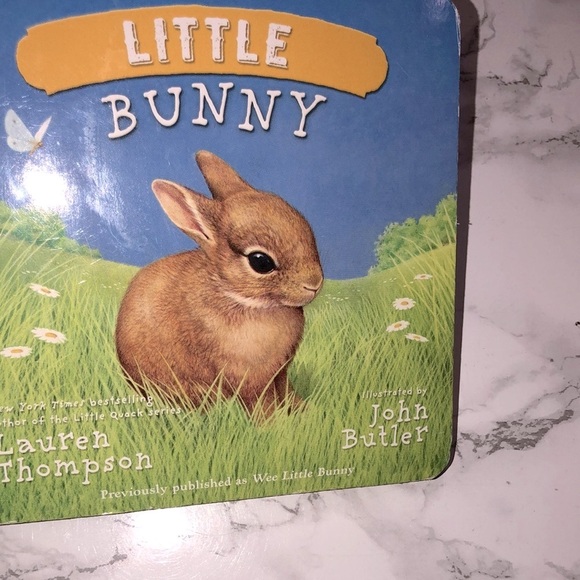 Little Bunny kids book - Picture 2 of 10